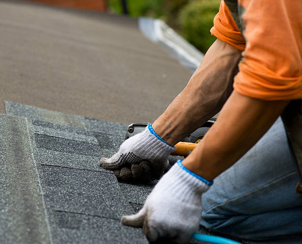 Professional Roofing Contractor in Wyoming, IL